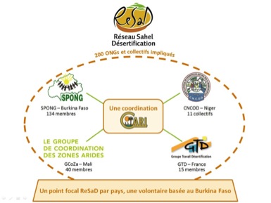 Image / illustration